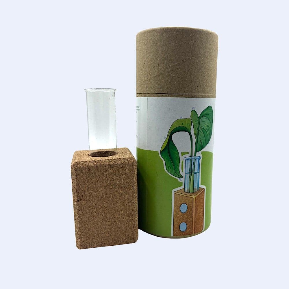 Bioq Magnetic Cork Planter Natural Brown – Front View