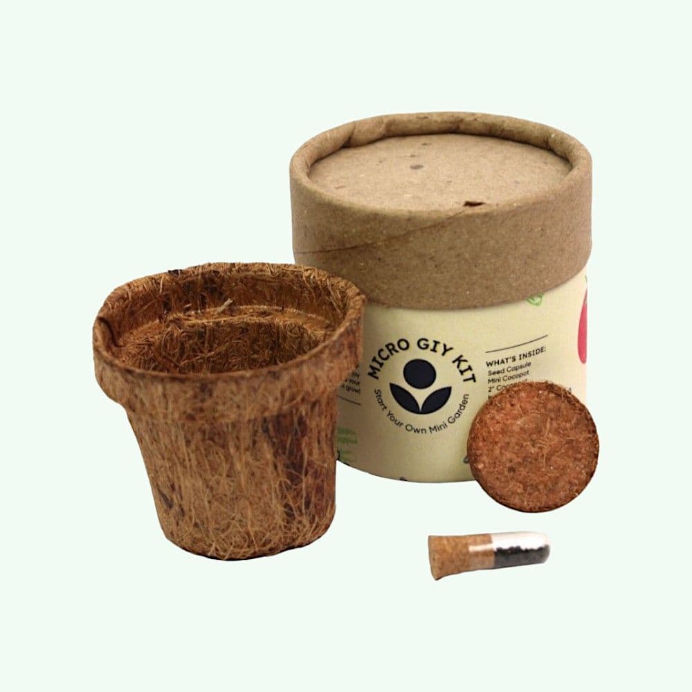 Bioq Micro GIY Grow Kit Natural Brown – Front View