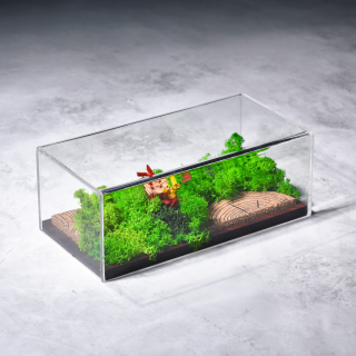 Forever Forest Terrarium Landscape 8